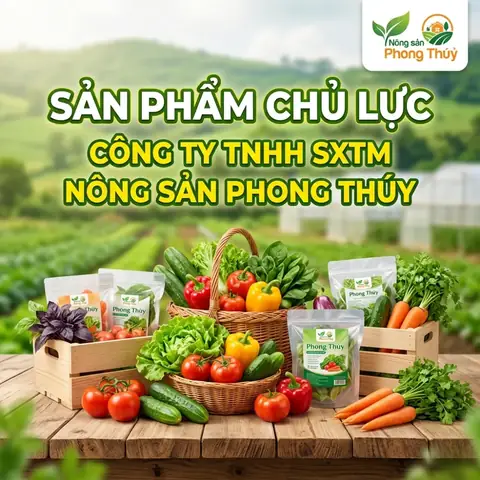 Đặc Sản Sạch Gia Khang Là Gì? Cẩm Nang Lựa Chọn Thực Phẩm Hữu Cơ Và Nông Sản An Toàn 2026 Đặc Sản Sạch Gia Khang Là Gì? Cẩm Nang Lựa Chọn Thực Phẩm Hữu Cơ Và Nông Sản An Toàn 2026