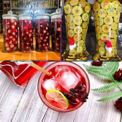 Top 7+ Loại Rượu Ngâm Sapa Đặc Sản Nổi Tiếng: Hương Vị, Công Dụng & Kinh Nghiệm Chọn Mua Chuẩn Vị Tây Bắc