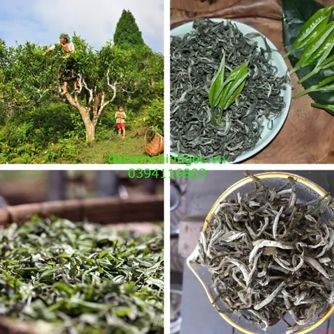 Khám Phá 25 Đặc Sản Sơn La Ngon, Chuẩn Vị Núi Rừng Nên Mua Về Làm Quà Khám Phá 25 Đặc Sản Sơn La Ngon, Chuẩn Vị Núi Rừng Nên Mua Về Làm Quà