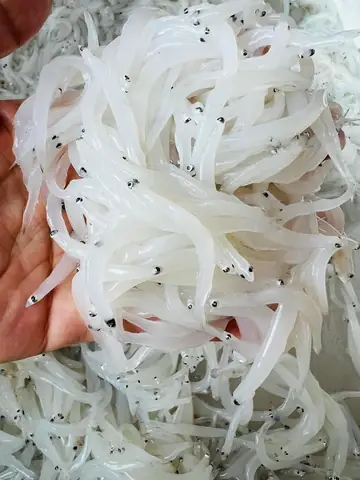 Khám Phá 10 Loại Đặc Sản Sông Đà Ngon Nhất Và Địa Điểm Thưởng Thức Tại Tây Bắc Khám Phá 10 Loại Đặc Sản Sông Đà Ngon Nhất Và Địa Điểm Thưởng Thức Tại Tây Bắc