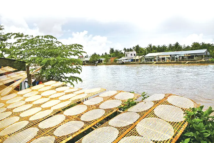Top 10 Đặc Sản Tây Ninh Làm Quà Ngon, Chất Lượng Và Dễ Mang Về Nhất Top 10 Đặc Sản Tây Ninh Làm Quà Ngon, Chất Lượng Và Dễ Mang Về Nhất