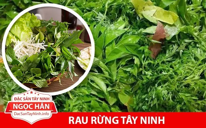 Mua Đặc Sản Tây Ninh Ngọc Hân Ở Đâu? Điểm Bán Tại TP.HCM Và Online Mua Đặc Sản Tây Ninh Ngọc Hân Ở Đâu? Điểm Bán Tại TP.HCM Và Online