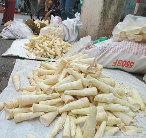 Top 15+ Đặc Sản Thái Nguyên Làm Quà Nổi Tiếng: Gợi Ý Mua Biếu Theo Vùng, Giá & Đóng Gói