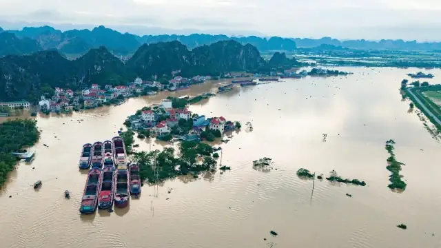 Khám Phá Top 10+ Đặc Sản Đồng Tháp Mười Nổi Tiếng Đậm Đà Hướng Vị Miền Tây