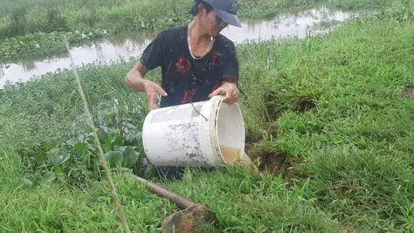 Đặc Sản Thịt Chuột Ở Đâu Nổi Tiếng Nhất? Khám Phá Các Vùng Đất Gắn Liền Với Món Ăn Độc Đáo Này