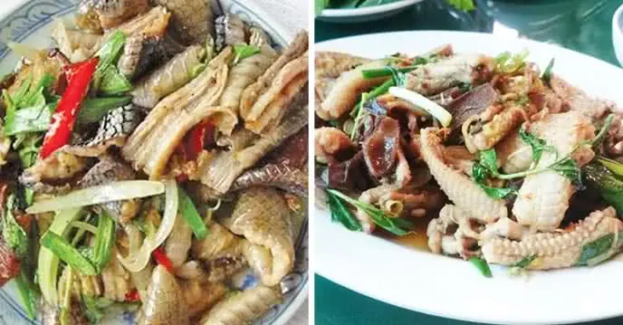 Tổng Hợp Các Món Đặc Sản Thịt Rắn Thơm Ngon, Bổ Dưỡng Và Cách Chế Biến Chuẩn Vị Nhất Cho Tín Đồ Ẩm Thực Tổng Hợp Các Món Đặc Sản Thịt Rắn Thơm Ngon, Bổ Dưỡng Và Cách Chế Biến Chuẩn Vị Nhất Cho Tín Đồ Ẩm Thực