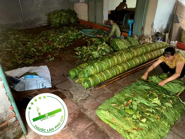 Top 7+ Đặc Sản Tiên Lãng Hải Phòng Nổi Tiếng: Thuốc Lào, Gỏi Cá, Trứng Vịt & Kinh Nghiệm Mua Uy Tín