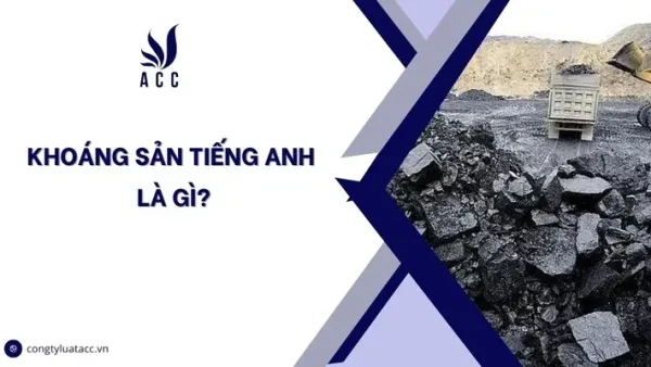 Đặc Sản Tiếng Anh Là Gì? Phân Biệt Specialty Vs Speciality, Collocations & Ví Dụ Thực Tế