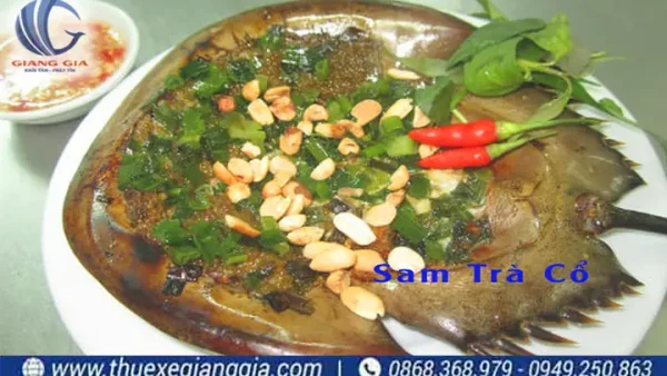 Top 15+ Đặc Sản Trà Cổ Móng Cái: Ăn Gì Ngon, Mua Gì Làm Quà & Bí Quyết Chọn Mua Chuẩn Vị 2027