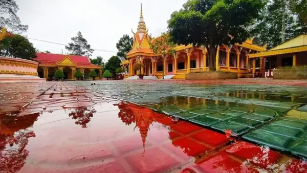 Tổng Hợp 12+ Đặc Sản Trà Cú (trà Vinh) Ngon Nhất: Món Ăn Chỗ, Quà Mang Đi & Địa Chỉ Mua Uy Tín