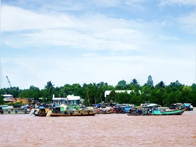 Khám Phá Danh Sách Đặc Sản Trà Ôn Vĩnh Long Trứ Danh Và Các Địa Chỉ Thưởng Thức Chuẩn Vị Nhất