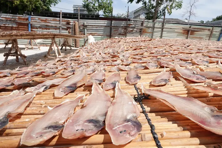 Đặc Sản Trần Đề Sóc Trăng Có Gì Ngon? Top Món Nồng Và Địa Chỉ Mua Làm Quà Nổi Tiếng Đặc Sản Trần Đề Sóc Trăng Có Gì Ngon? Top Món Nồng Và Địa Chỉ Mua Làm Quà Nổi Tiếng
