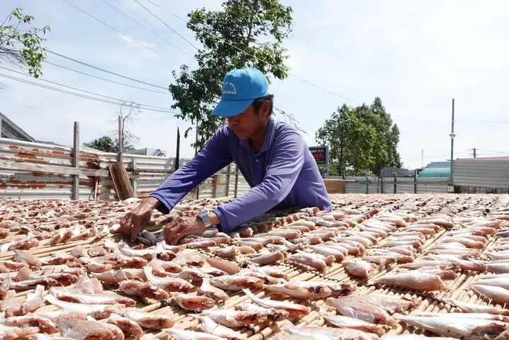 Đặc Sản Trần Đề Sóc Trăng Có Gì Ngon? Top Món Nồng Và Địa Chỉ Mua Làm Quà Nổi Tiếng Đặc Sản Trần Đề Sóc Trăng Có Gì Ngon? Top Món Nồng Và Địa Chỉ Mua Làm Quà Nổi Tiếng
