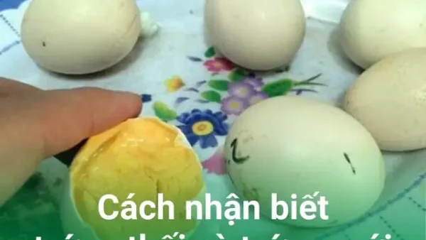 Đặc Sản Trứng Thối (trứng Bắc Thảo) Là Gì? Phân Biệt Trứng Ngâm Men An Toàn Và Trứng Hỏng Độc Hại, Công Dụng & Cách Ăn Ngon