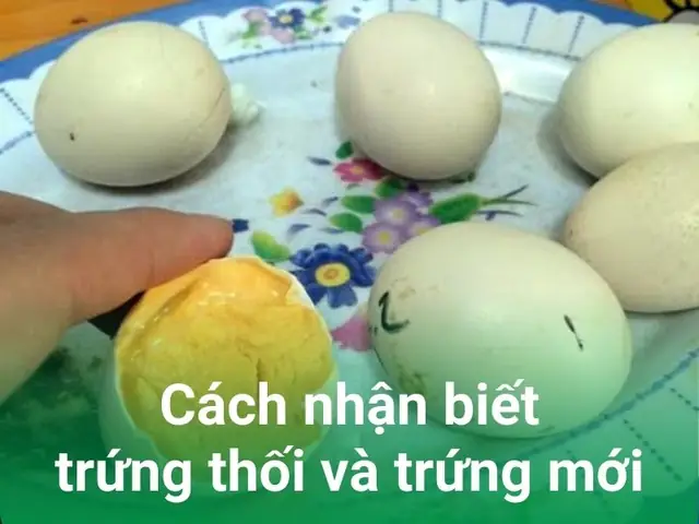 Đặc Sản Trứng Thối (trứng Bắc Thảo) Là Gì? Phân Biệt Trứng Ngâm Men An Toàn Và Trứng Hỏng Độc Hại, Công Dụng & Cách Ăn Ngon Đặc Sản Trứng Thối (trứng Bắc Thảo) Là Gì? Phân Biệt Trứng Ngâm Men An Toàn Và Trứng Hỏng Độc Hại, Công Dụng & Cách Ăn Ngon