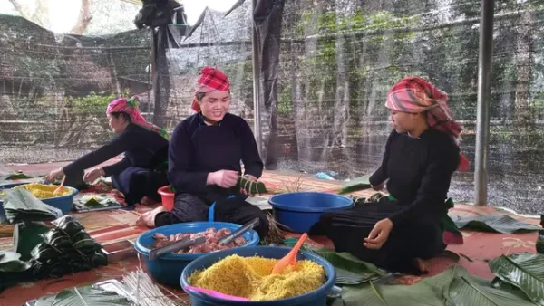 Top 10+ Đặc Sản Văn Bàn Lào Cai Ngon Đặc Trưng Nên Mua Làm Quà & Thưởng Thức