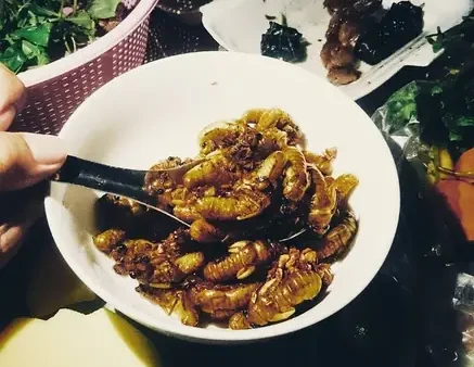 Ve Sầu Là Gì Và Tại Sao Được Xem Là Món Ăn “sang Chảnh” Của Mùa Hè?