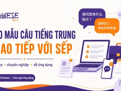 Tên Món Ăn Và Đặc Sản Việt Nam Bằng Tiếng Trung: Danh Sách Đầy Đủ Từ Vựng Dịch Thực Thẩm Mĩ
