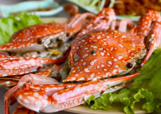27 Đặc Sản Vịnh Hạ Long: Món Nào Nên Ăn, Món Nào Nên Mua Làm Quà? 27 Đặc Sản Vịnh Hạ Long: Món Nào Nên Ăn, Món Nào Nên Mua Làm Quà?