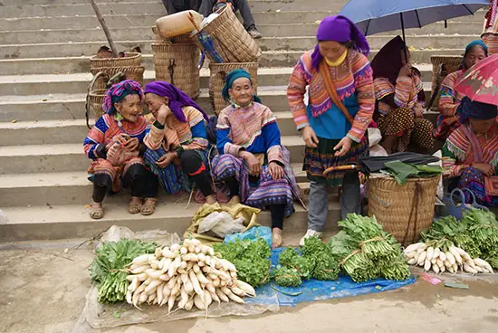 Top 12 Đặc Sản Y Tý Nổi Tiếng Mang Đậm Hương Vị Núi Rừng Tây Bắc Nên Thử