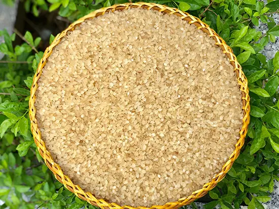 Top 12 Đặc Sản Y Tý Nổi Tiếng Mang Đậm Hương Vị Núi Rừng Tây Bắc Nên Thử