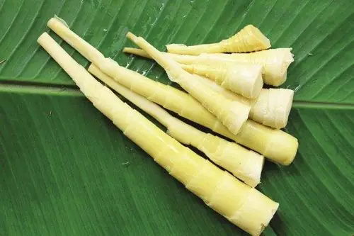Top 16+ Đặc Sản Yên Bái Làm Quà Tặng Đắt Giá, Dễ Mang Đi 2025: Danh Sách Full Tên, Giá Tham Khảo, Nơi Mua Uy Tín Top 16+ Đặc Sản Yên Bái Làm Quà Tặng Đắt Giá, Dễ Mang Đi 2025: Danh Sách Full Tên, Giá Tham Khảo, Nơi Mua Uy Tín