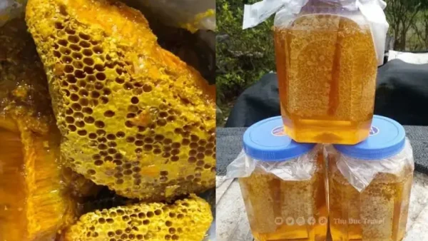 Đồng Nai Có Đặc Sản Gì Làm Quà? 15 Món Nên Chọn