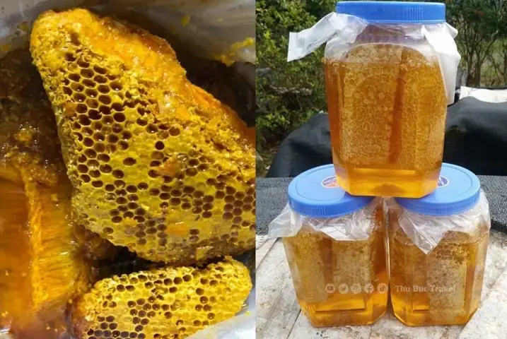 Đồng Nai Có Đặc Sản Gì Làm Quà? 15 Món Nên Chọn