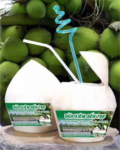 Dừa Là Đặc Sản Của Tỉnh Nào? Bên Trong Hương Vị Đặc Trưng Từ Xứ Dừa Bến Tre Dừa Là Đặc Sản Của Tỉnh Nào? Bên Trong Hương Vị Đặc Trưng Từ Xứ Dừa Bến Tre