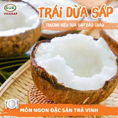 Dừa Sáp Đặc Sản Ở Đâu? Nổi Tiếng Nhất Tại Cầu Kè, Trà Vinh Dừa Sáp Đặc Sản Ở Đâu? Nổi Tiếng Nhất Tại Cầu Kè, Trà Vinh