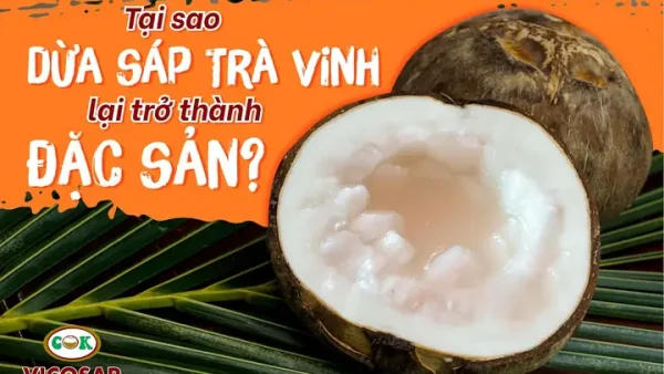 Dừa Sáp Đặc Sản Ở Đâu? Nổi Tiếng Nhất Tại Cầu Kè, Trà Vinh