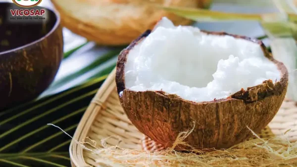 Dừa Sáp Là Đặc Sản Của Tỉnh Nào? Câu Trả Lời: Trà Vinh – Cầu Kè