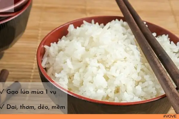 Gạo Campuchia: Hướng Dẫn Chọn Mua Đặc Sản Ngon, Giá Rẻ Và Uy Tín Gạo Campuchia: Hướng Dẫn Chọn Mua Đặc Sản Ngon, Giá Rẻ Và Uy Tín