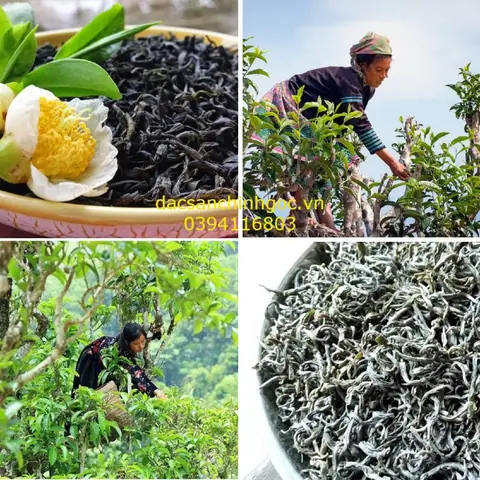 Top 5+ Loại Gạo Đặc Sản Hà Giang Nổi Tiếng: Đặc Điểm, Giá Cả & Cách Chọn Mua Chính Hãng