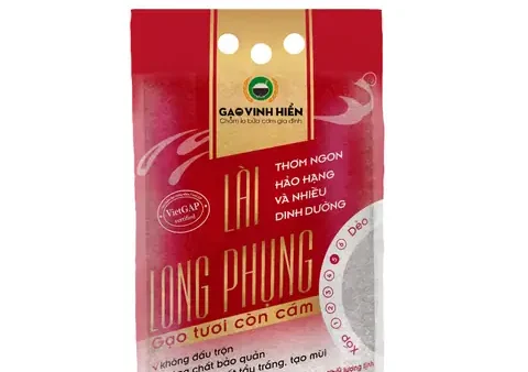 Gạo Đặc Sản Hương Lài: Dẻo, Thơm Và Cách Chọn Đúng Vị
