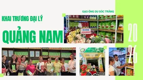 Mua Gạo Đặc Sản Sóc Trăng Ở Đâu Uy Tín? Top Địa Chỉ Sỉ Lẻ ST25, Ông Cua, Ông Dự Toàn Quốc