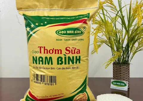 Tổng Hợp Gạo Đặc Sản Việt Nam Theo 3 Vùng Miền: Đặc Điểm Nhận Dạng, Công Dụng & Bí Quyết Chọn Mua Đúng Loại