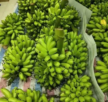 Top 5 Loài Hoa Quả Đặc Sản Ninh Bình Bắt Buộc Thử: Dứa Đồng Giao, Chuối Ngự, Nhãn, Gáo & Mùa Chín Chính Xác