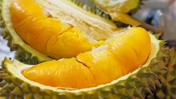 Top 15+ Hoa Quả Đặc Sản Sài Gòn Ngon, Rẻ Theo Mùa & Địa Chỉ Mua Uy Tín 2027