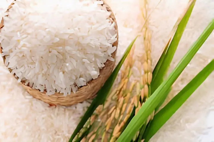 Top 12+ Đặc Sản Hưng Hà Thái Bình Đặc Trưng: Nên Mua Gì Làm Quà, Ăn Gì Tại Chỗ?