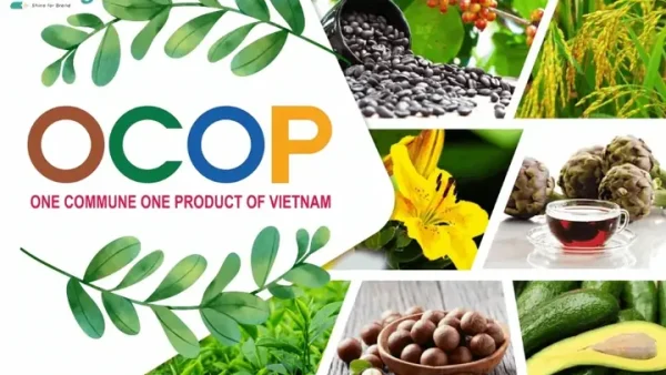Tuyển Mẫu Logo Đặc Sản Đẹp Theo Sản Phẩm, Vùng Miền Và Phong Cách
