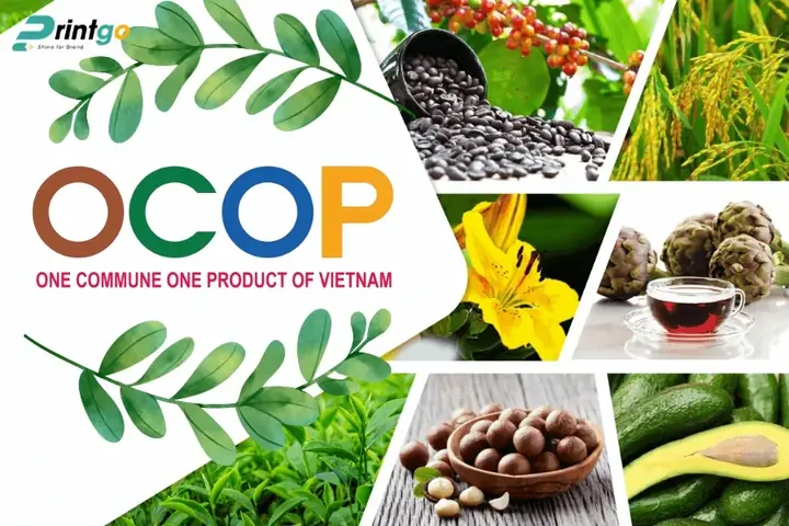 Tuyển Mẫu Logo Đặc Sản Đẹp Theo Sản Phẩm, Vùng Miền Và Phong Cách
