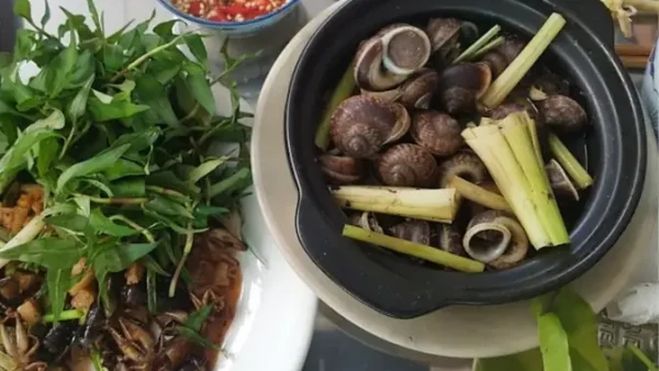 Top 20+ Món Ăn Đặc Sản Tây Ninh Ngon Nhất: Phân Loại Theo Bữa Ăn, Kèm Địa Chỉ & Giá Tham Khảo 2027