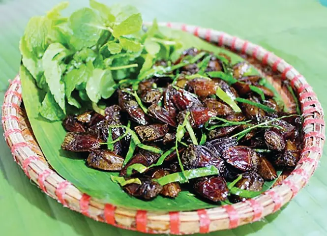 Khám Phá Hương Vị Đặc Trưng: Danh Sách Món Ăn Từ Côn Trùng Đặc Sản Miền Tổng Khám Phá Hương Vị Đặc Trưng: Danh Sách Món Ăn Từ Côn Trùng Đặc Sản Miền Tổng