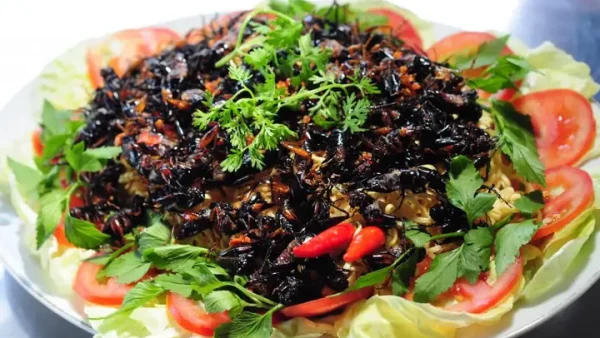 Khám Phá Hương Vị Đặc Trưng: Danh Sách Món Ăn Từ Côn Trùng Đặc Sản Miền Tổng