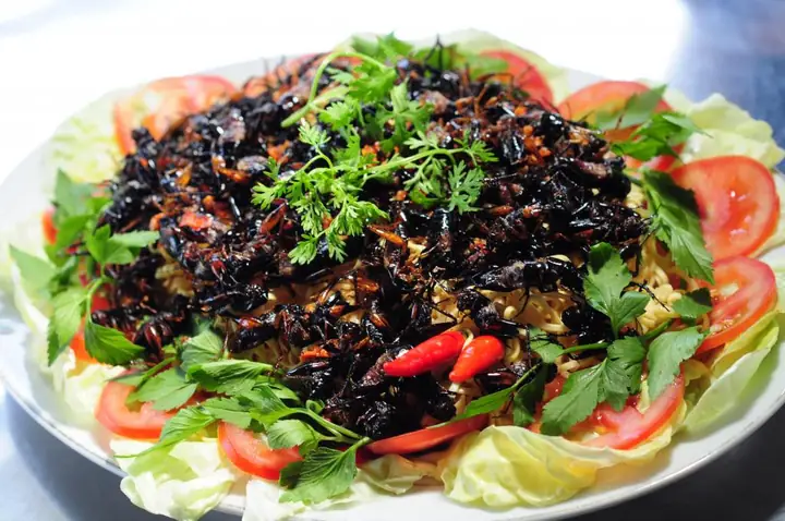Khám Phá Hương Vị Đặc Trưng: Danh Sách Món Ăn Từ Côn Trùng Đặc Sản Miền Tổng Khám Phá Hương Vị Đặc Trưng: Danh Sách Món Ăn Từ Côn Trùng Đặc Sản Miền Tổng