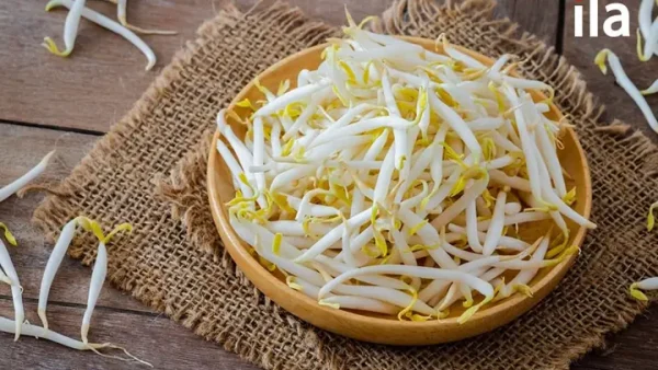 Món Đặc Sản Tiếng Anh Là Gì? Specialty Vs Speciality, Từ Vựng Ẩm Thực & Tên Gọi Món Việt Chuẩn
