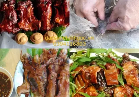 Top 17+ Đặc Sản Bến Tre Nên Mua Làm Quà 2027: Danh Sách Chi Tiết, Giá Tham Khảo & Bí Quyết Chọn Mua Đúng Chất Lượng