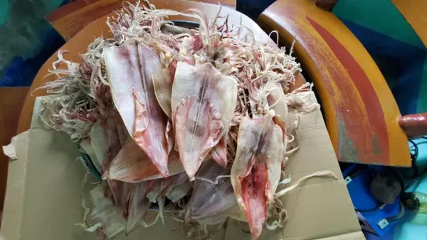 Mua Đặc Sản Ninh Thuận Ở Đâu Uy Tín, Giá Tốt? Top Chợ, Cửa Hàng, Vườn Trồng Full Địa Chỉ