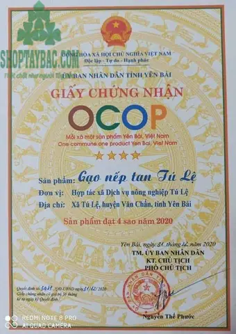Nếp Tú Lệ Đặc Sản Yên Bái (5kg)